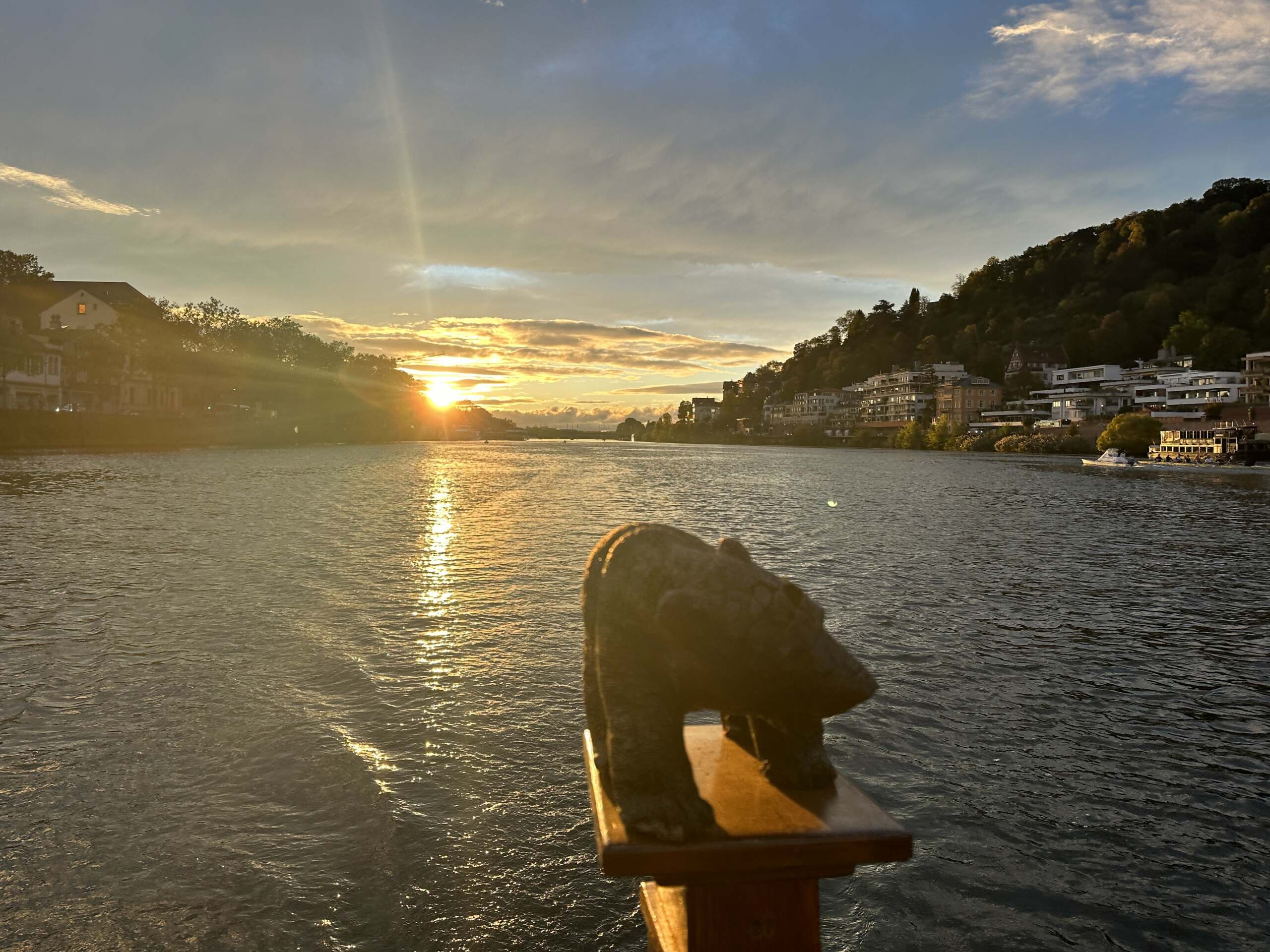 Der Neckar in Heidelberg liegt im Sonneruntergang, von einem Boot aus fotografiert, vorne sieht man eine Bärenfigur aus Holz