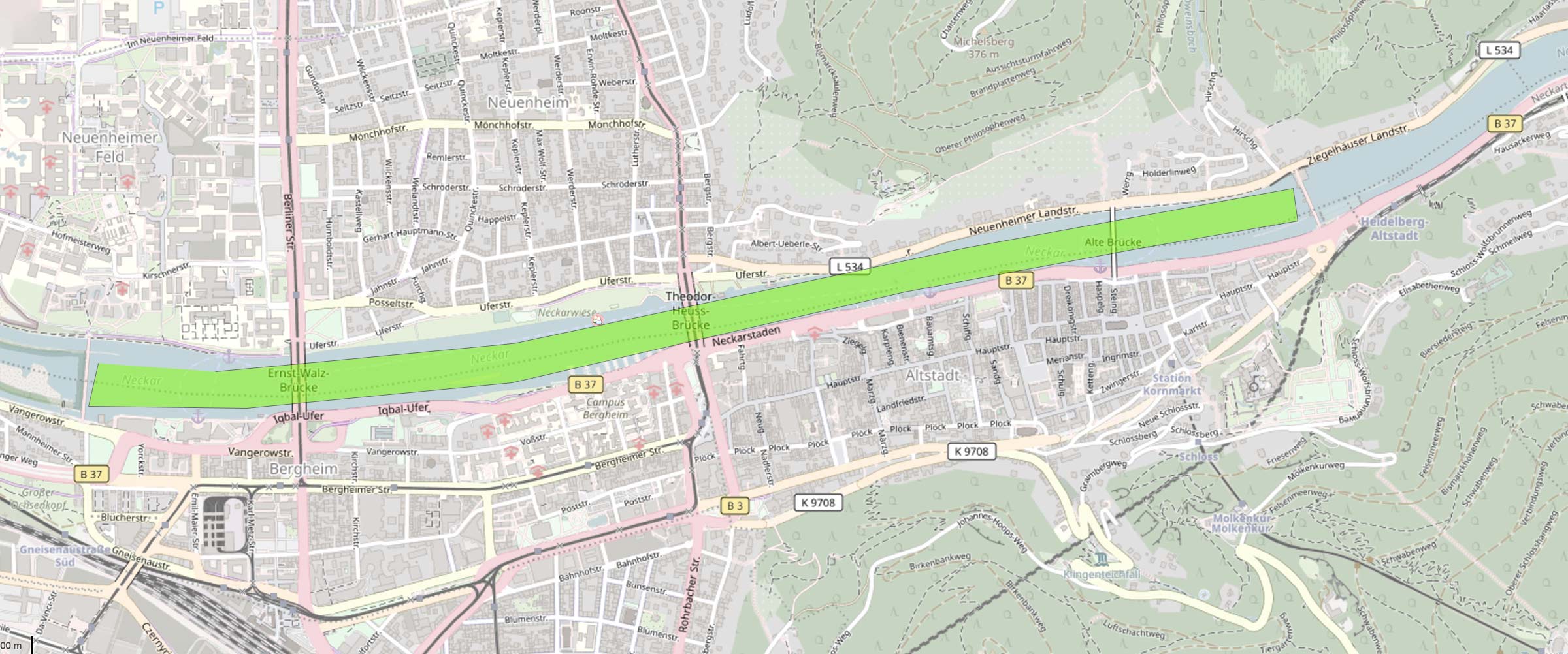 Die Karte zeigt den Verlauf einer Bootstour am Neckar in Heidelberg
