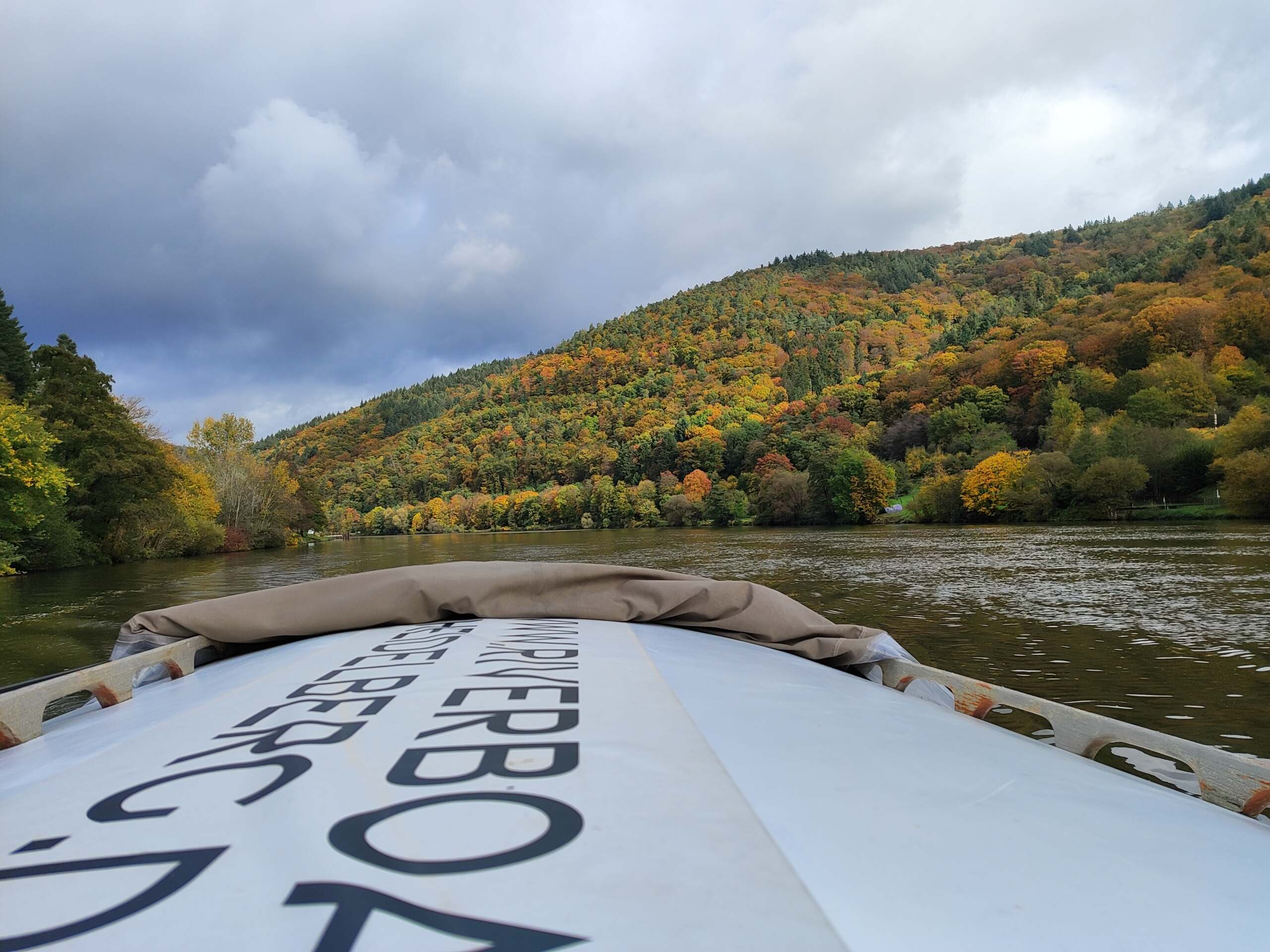 Das Holzboot von Riverboat fährt im Herbst von Heidelber g nach Neckarsteinach