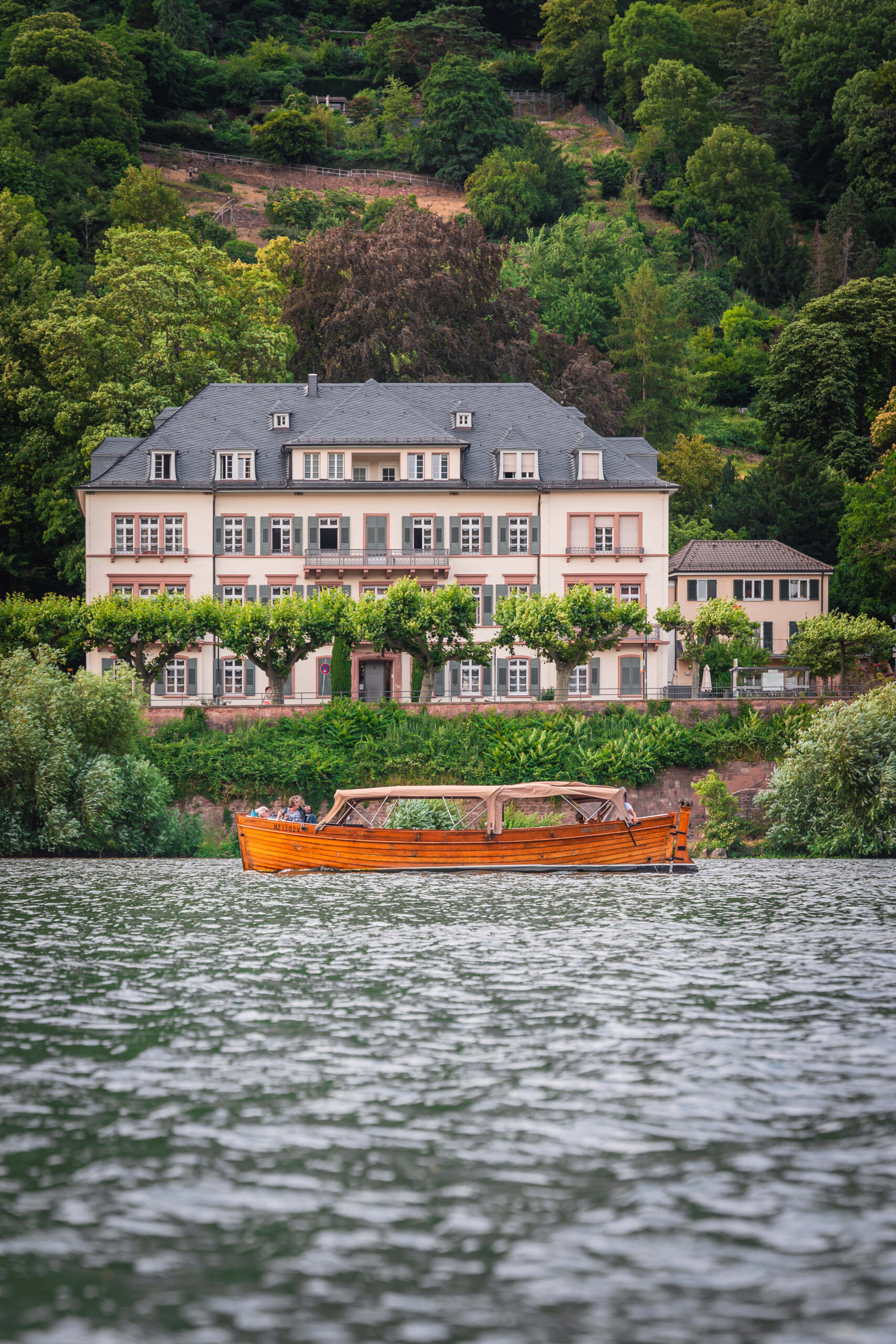 Bei einer idyllischen Bootstour auf dem Neckar in Frühling werden auch die Neuenheimer Villen angesteuert.