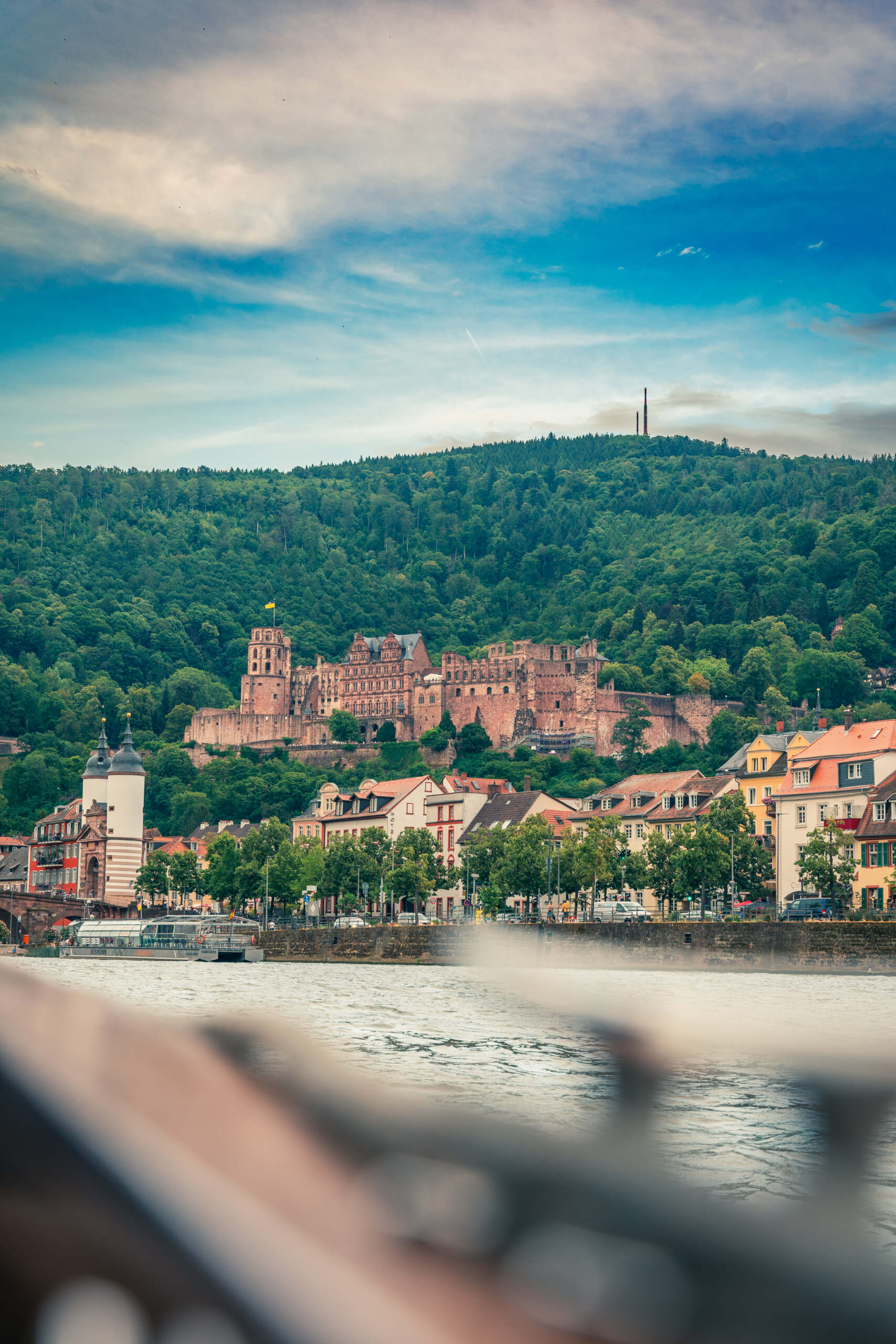 Heidelberg im Frühling vom Wasser aus gesehen